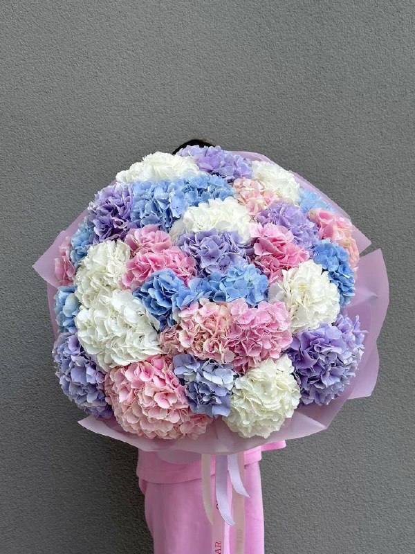 дари рассвет